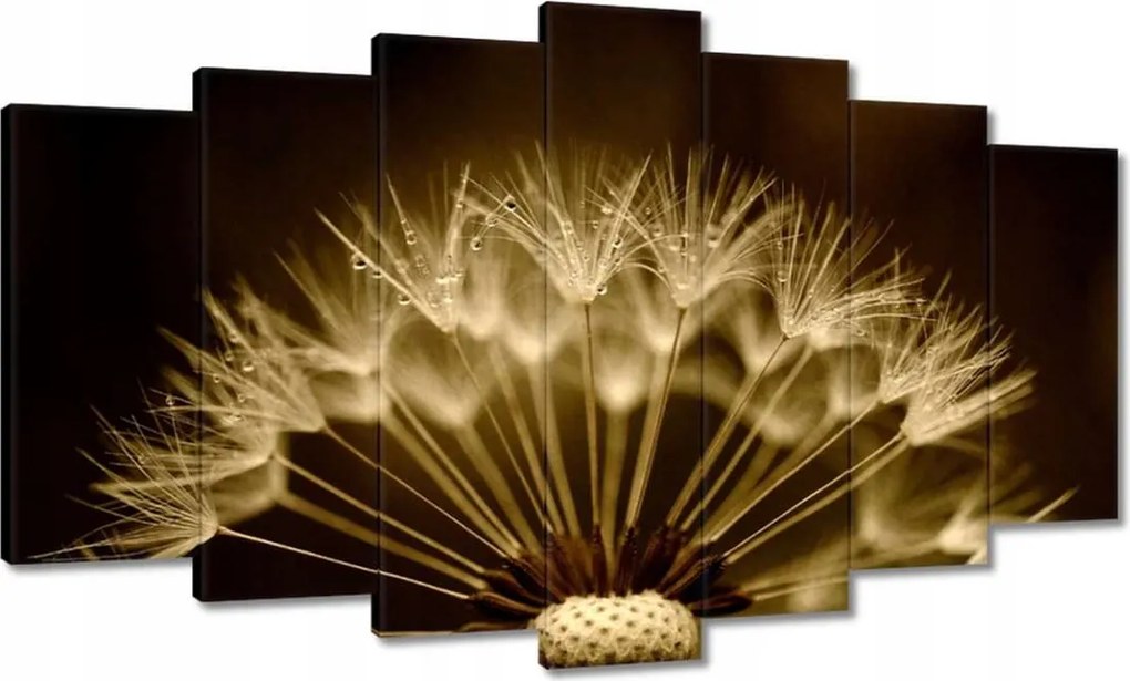 Vászonkép 140x80 Pitypang Virág Virágok