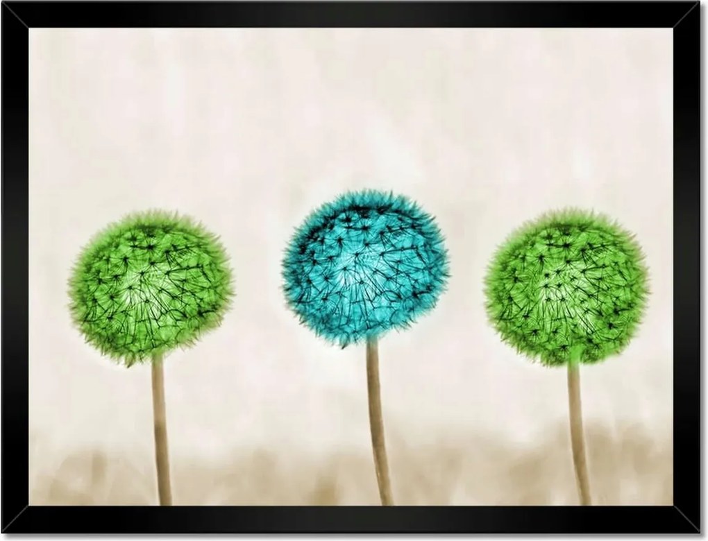 Poszterek keretben 40x30 Lime pitypangok