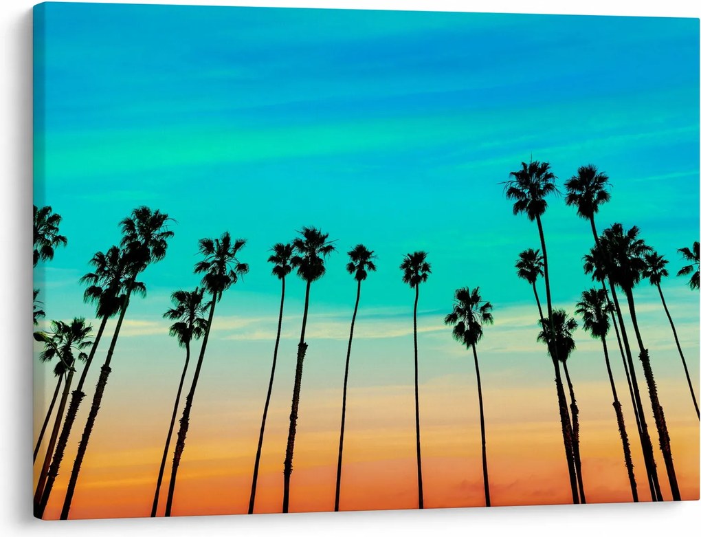 Kép - Kalifornia (70x50 cm)