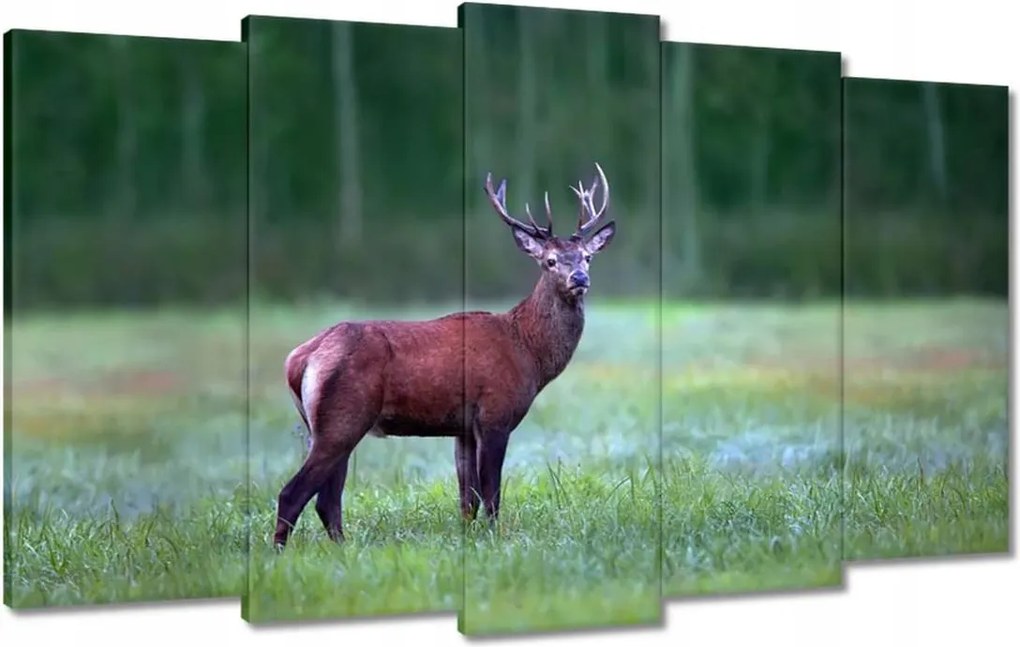 Vászonkép 100x60 Szarvas Erdő Tájkép