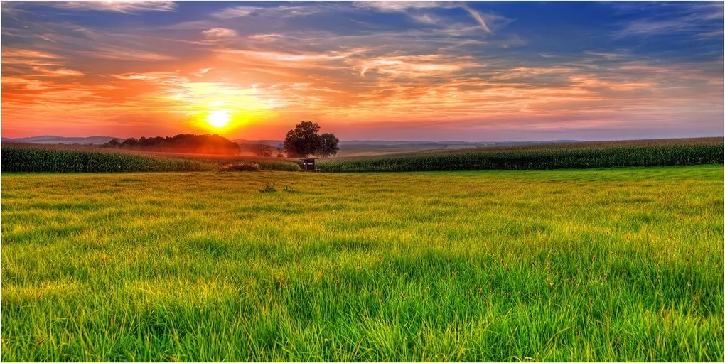 Fotó üveg kép Naplemente rét 140x70