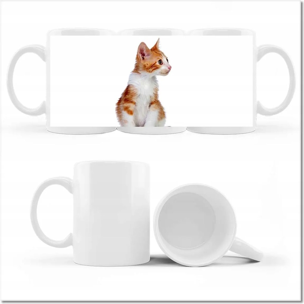 Cica fényképes bögre Cicák