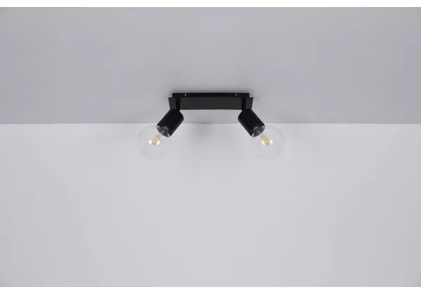 Globo 54030-2 - Spotlámpa HERMINE 2xE27/60W/230V