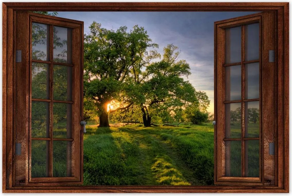 Poszterek 90x60 Rogalin tölgyek