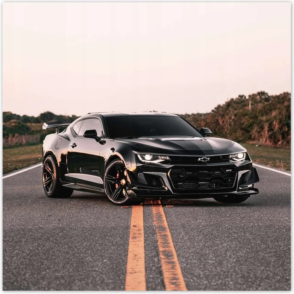 Poszterek 100x100 Autóipari autók