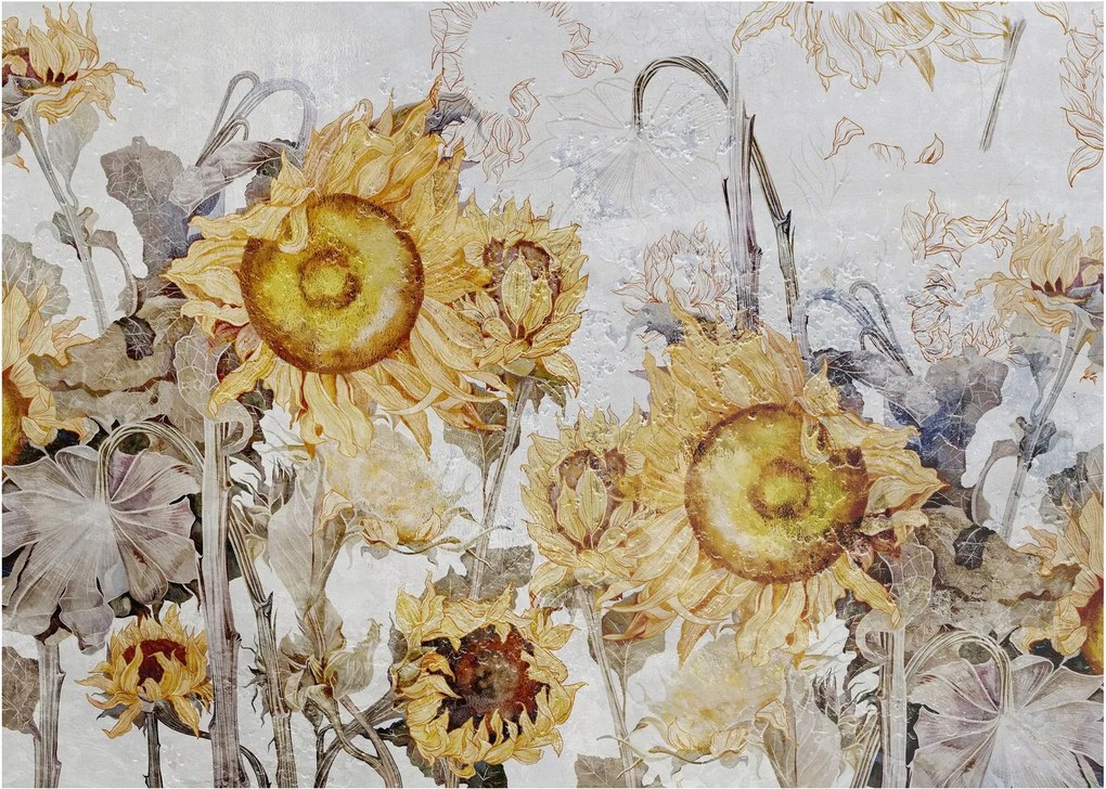 Kép - Napraforgó a falban (70x50 cm)