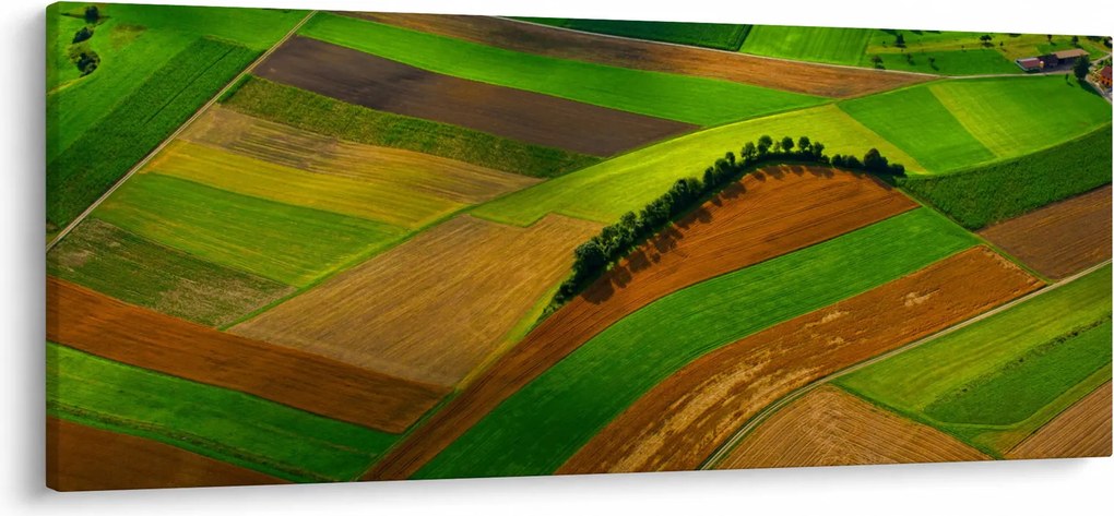 Kép - Mezők, rétek (120x50 cm)