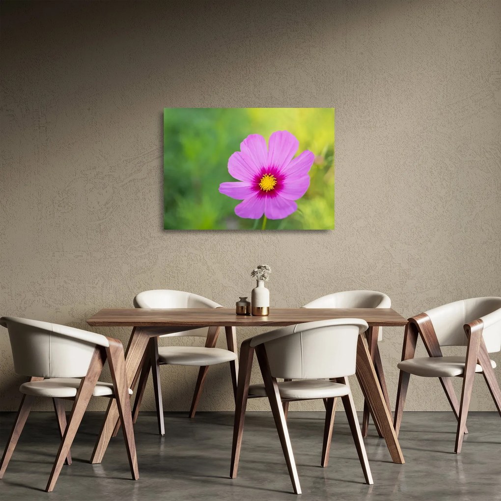 Kép - réti virág (üvegen) (70x50 cm)
