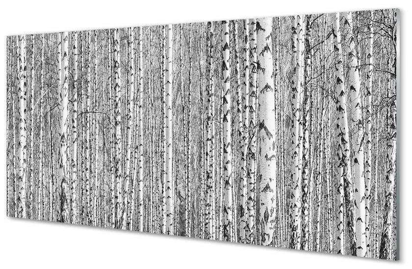 Üvegképek Fekete-fehér fa erdő 140x70 cm