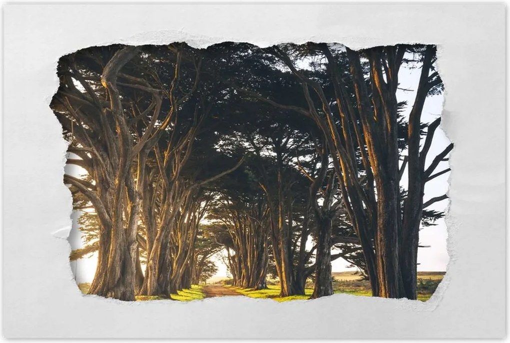 Poszterek 90x60 Tájkép Látvány