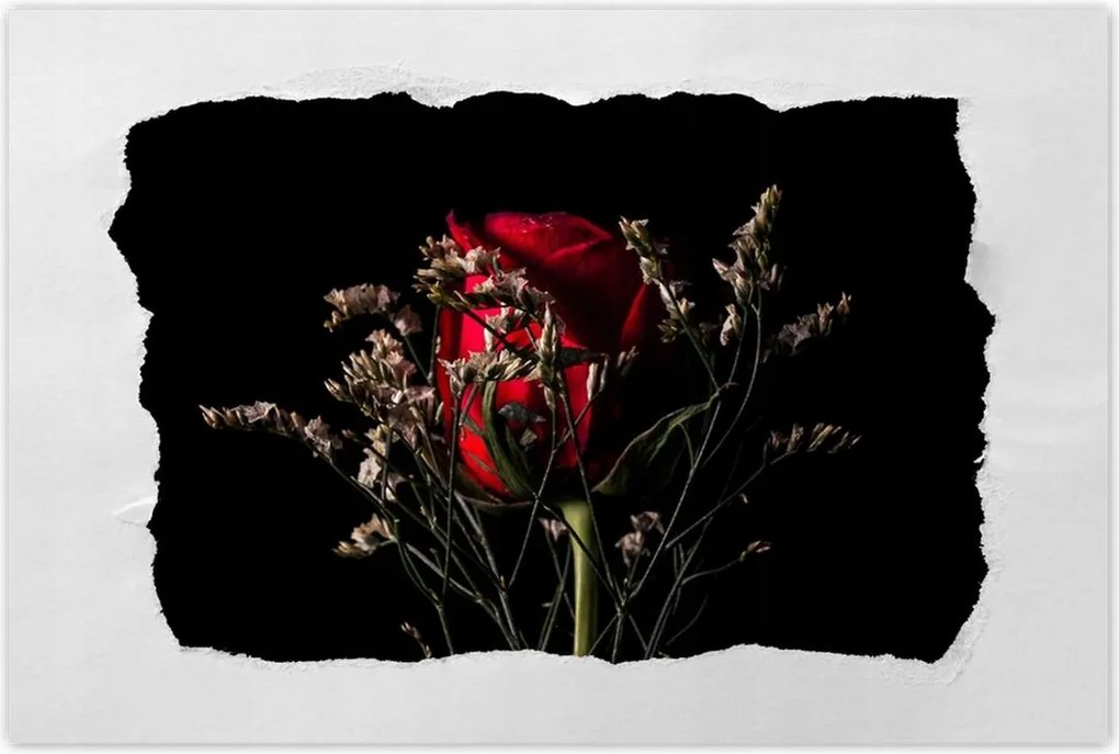 Poszterek 120x80 Rózsa Virág Virágok Rózsa