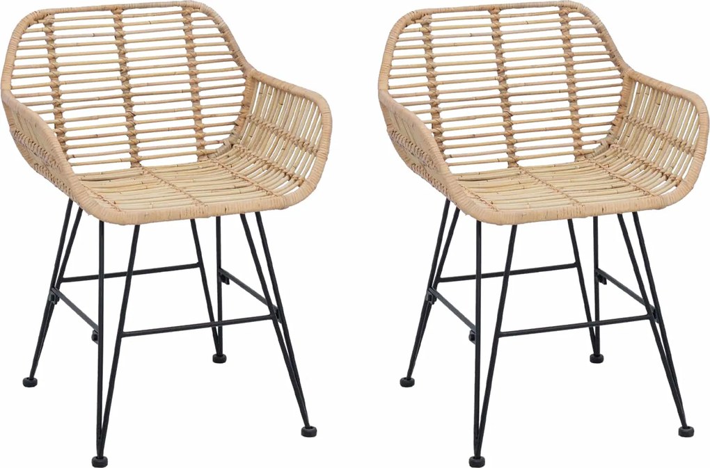 vidaXL Étkezőszék 2 pcs Természetes 55 x 50 x 74 cm Rattan és Vas