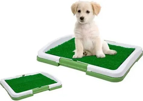 Zaparkorun Potty Pad kisállat wc