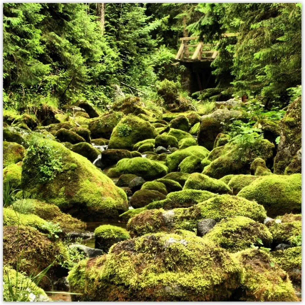 Poszterek 70x70 Tátra Lengyel hegyek Kilátás