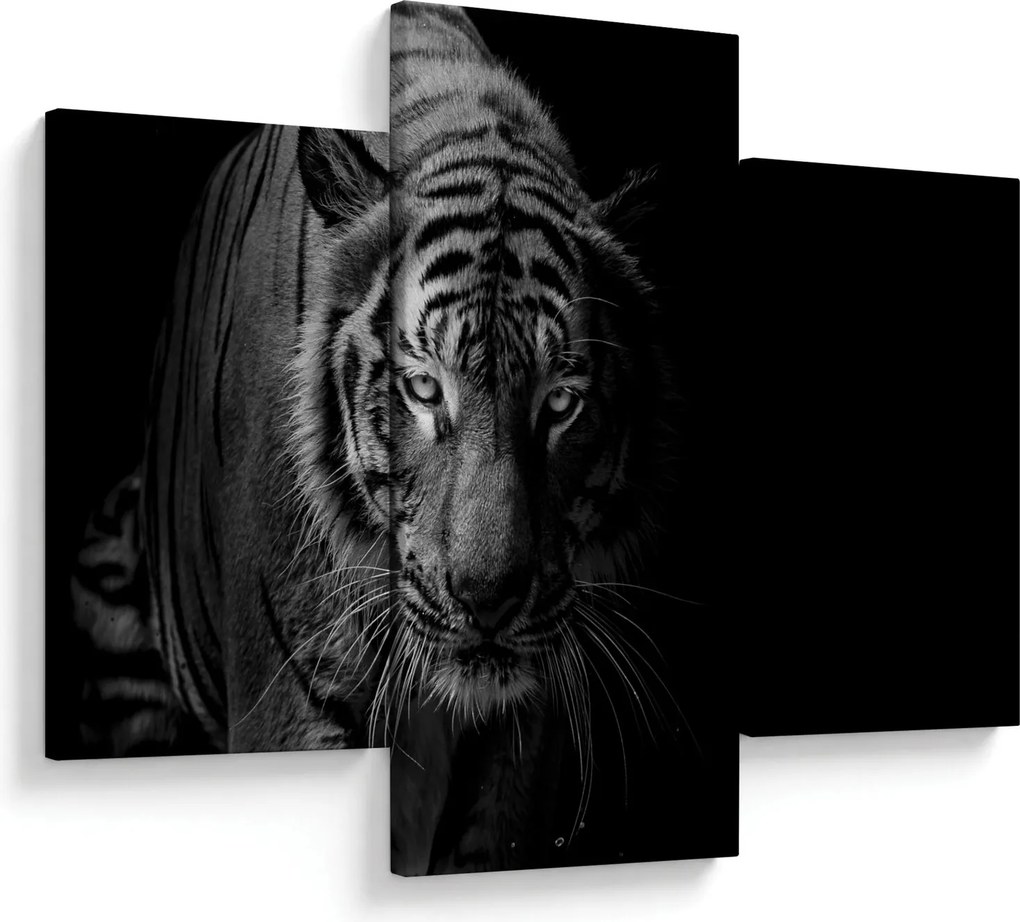 Egy vadtigris képe (90x60 cm)