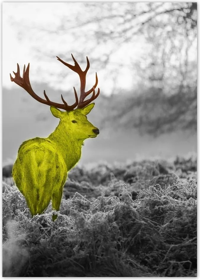 Poszterek A5 Pion Sárga szarvas Erdő Tájkép