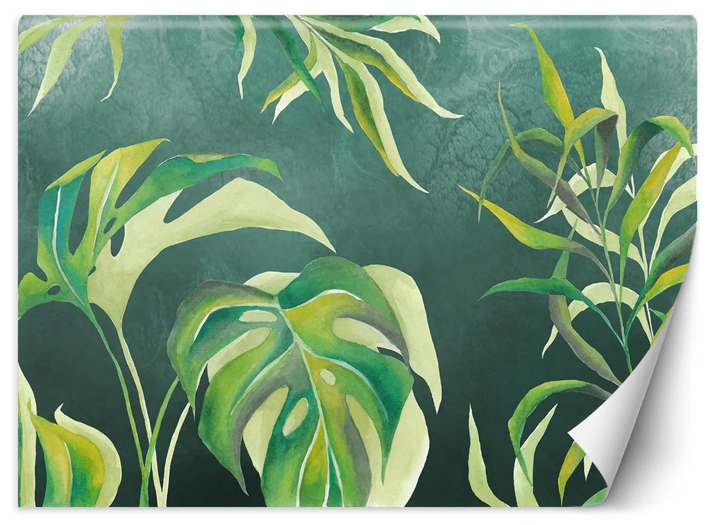 Gario Fotótapéta Monstera levelek sötétzöld alapon Anyag: Vlies, Méret: 400 x 280 cm