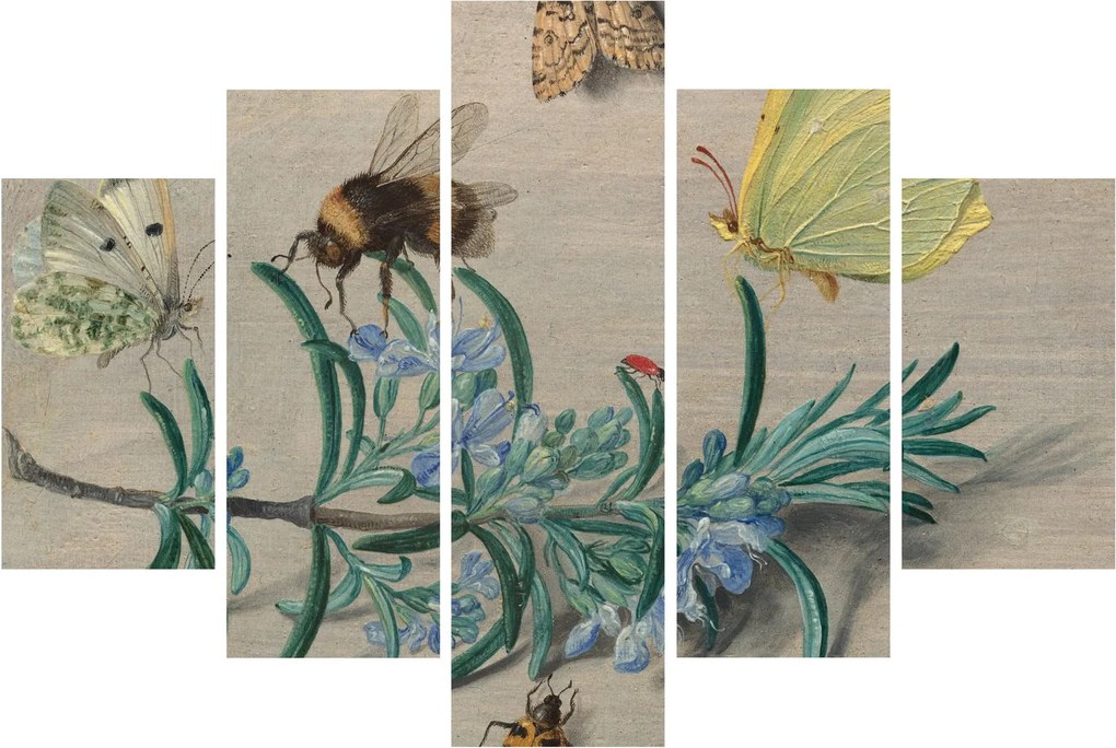 Kép - Jan van Kessel the Elder, Insects and a Sprig of Rosemary, reprodukciók (150x105 cm)