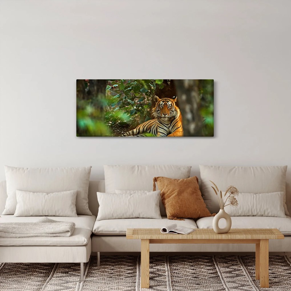 Pihenő tigris képe (120x50 cm)