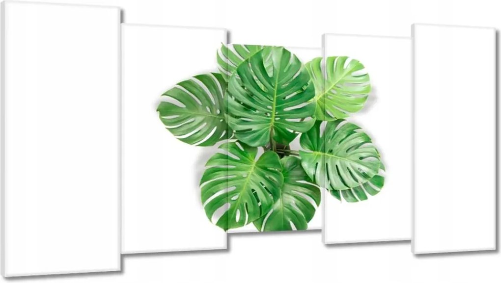 Vászonkép 150x80 Lyukas szörny levelek