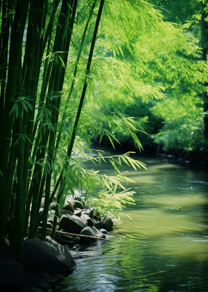 Poszter 64x90cm Bambusz nyugalom