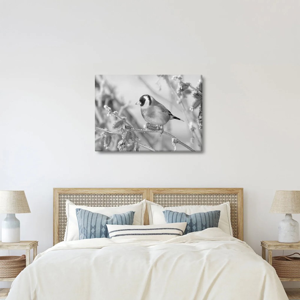 Kép - Egy madár télen (70x50 cm)