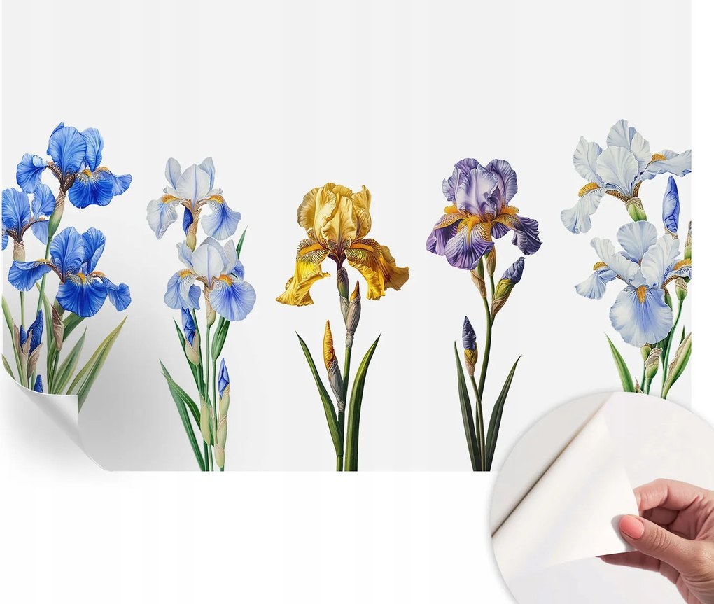 Fotótapéta Fali tapéta Hálószobába és Nappaliba Írisz virágok 152x104 cm