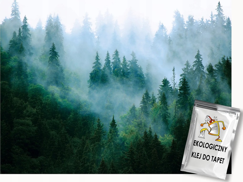 Fotótapéta Flizelina Erdő a ködben hideg tónusban 300x210 ragasztó