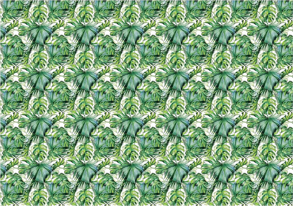 Fotótapéta flizelina Trópusi levelek Pálma Monstera Zöld 250x175 +ragasztó