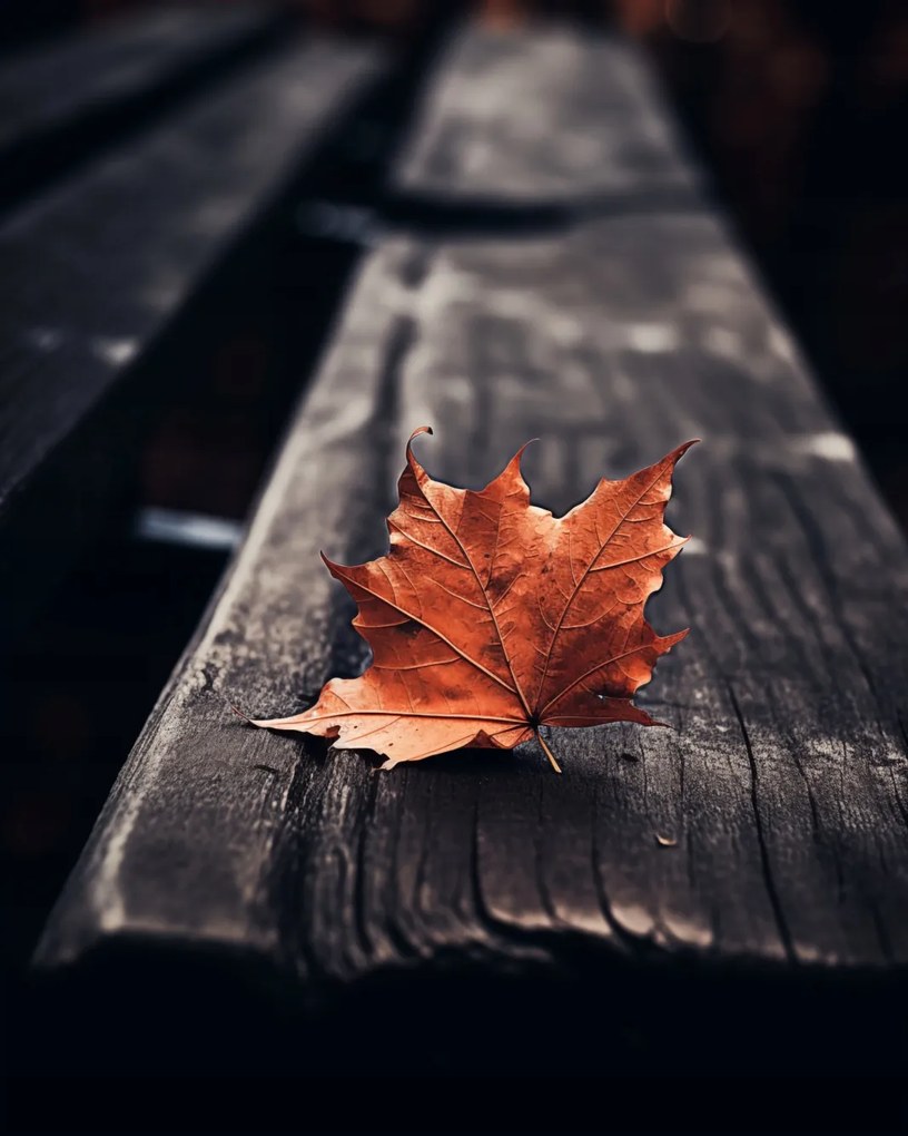 Poszter 40x50cm Egy levél