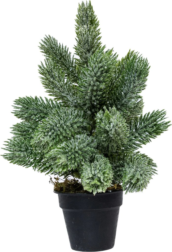 Mini műfenyő cserépben 22 cm Nagyon havas