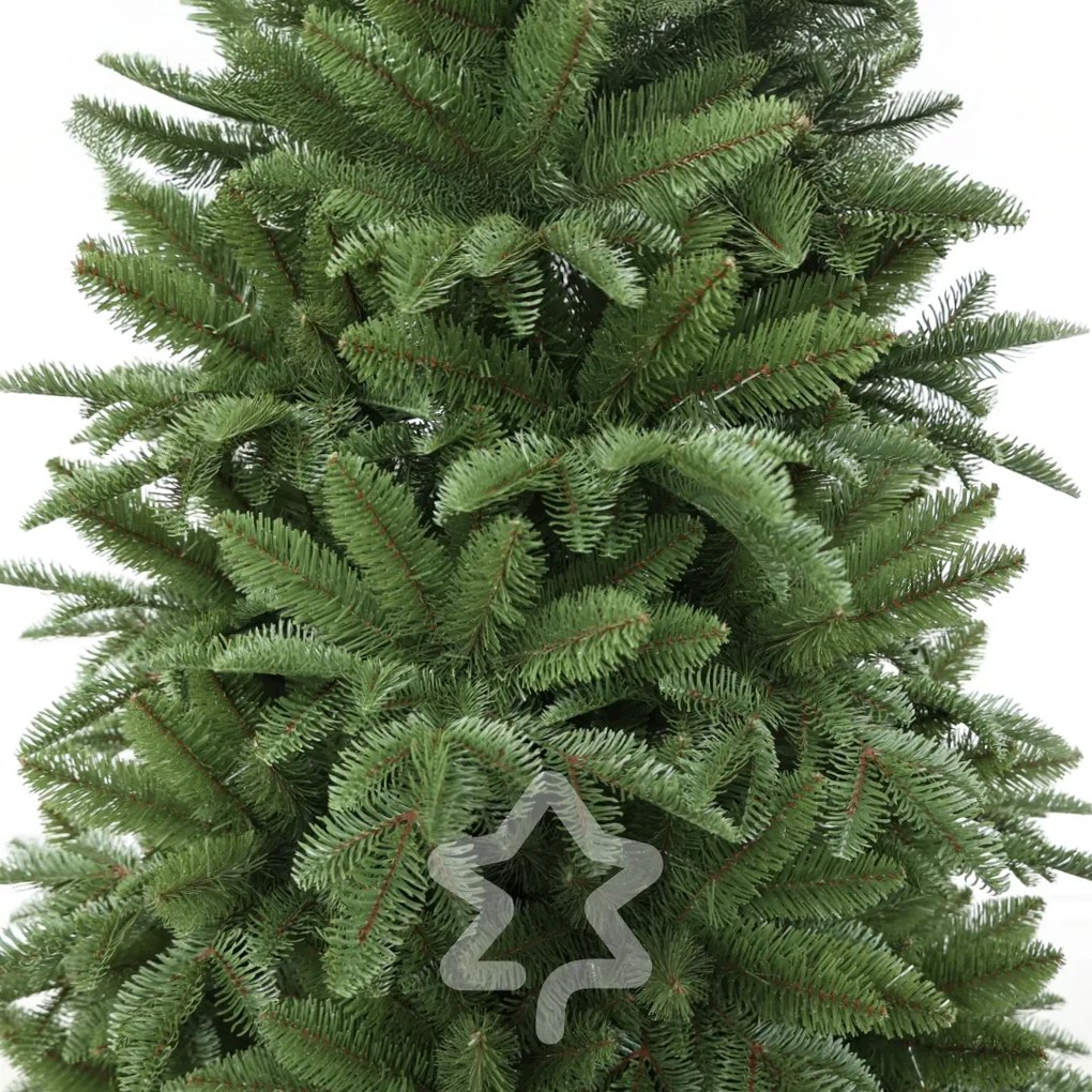 Nordmann jegenyefenyő 180 cm
