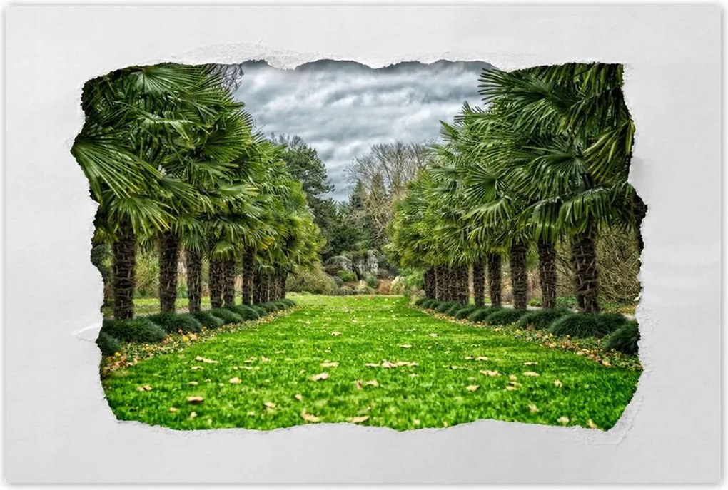 Poszterek 90x60 Tájkép