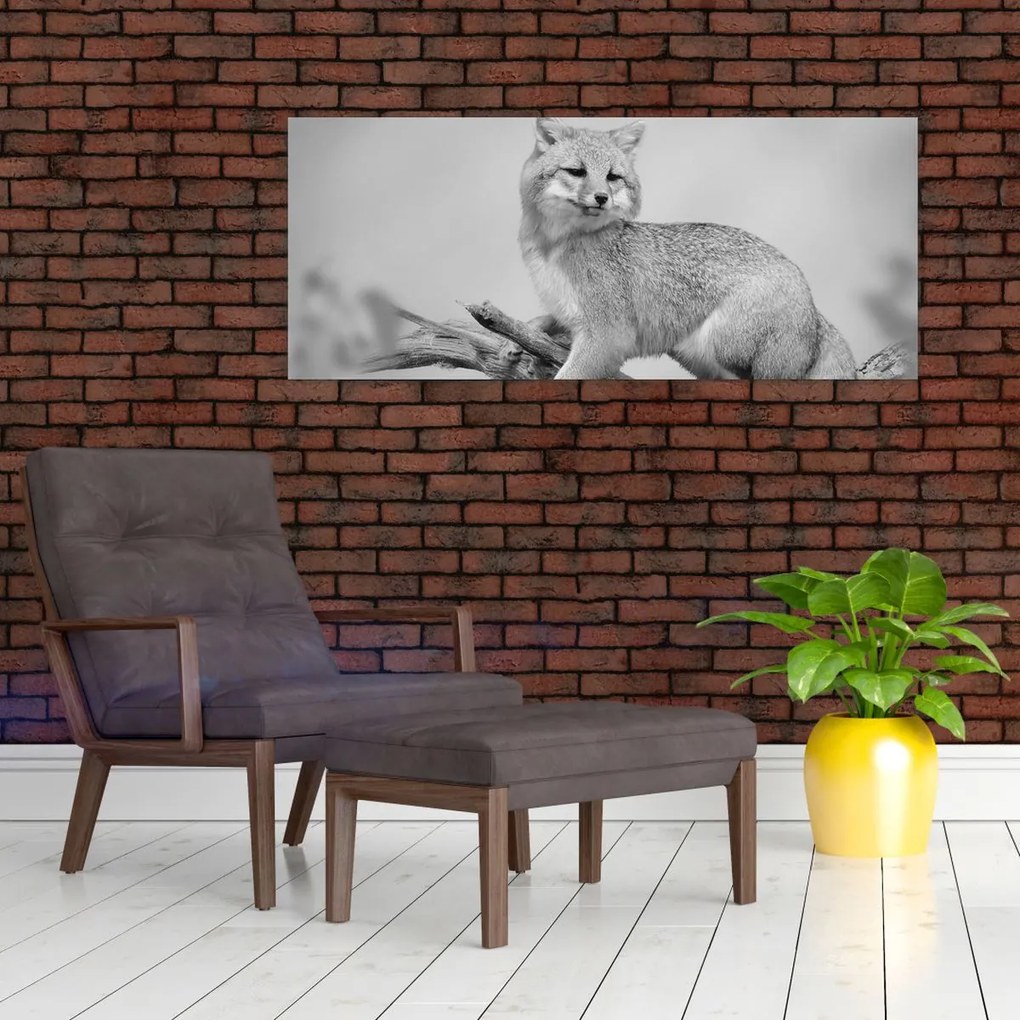 Kép - Szürke róka (120x50 cm)