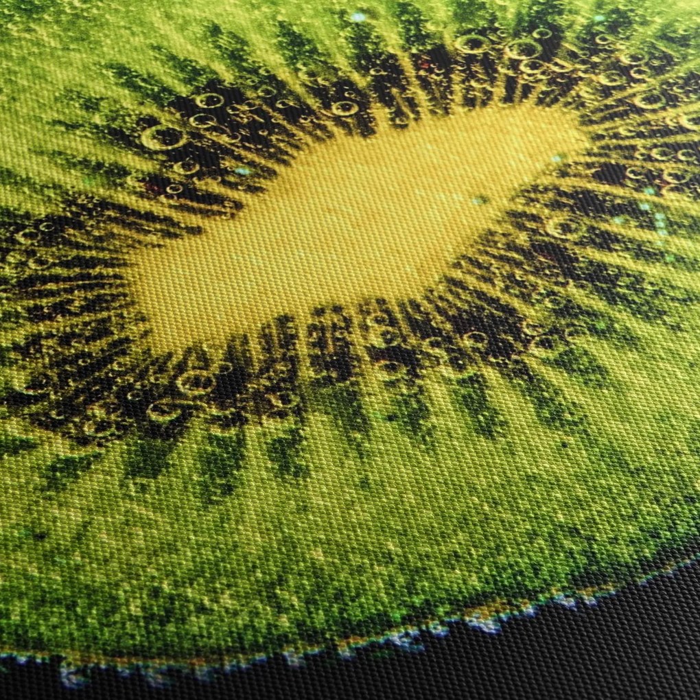 Kép - kivi részlete a vízben (150x105 cm)