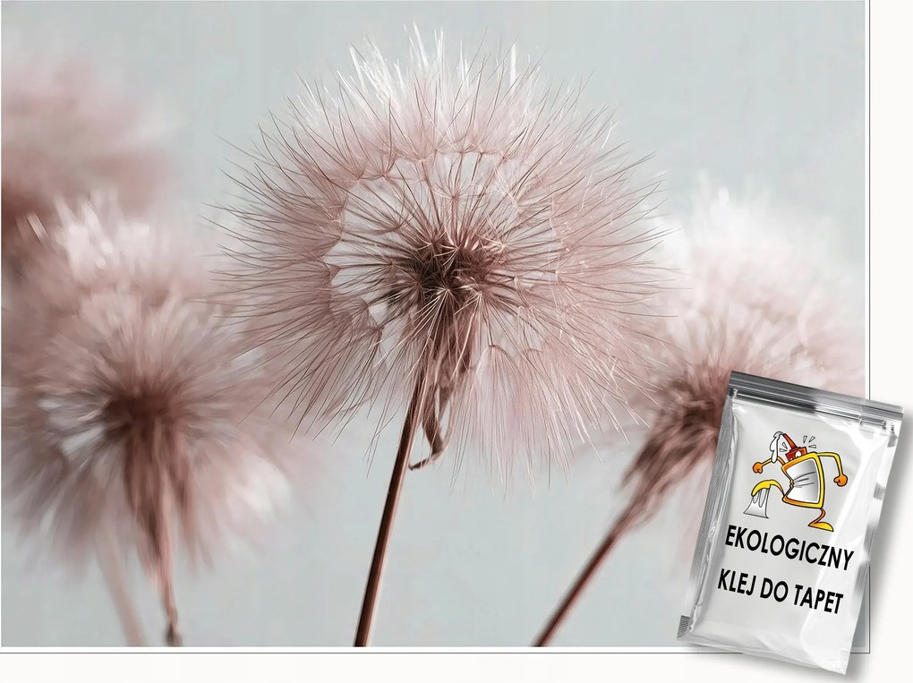 Fotótapéta Pitypang Boho Természet Rózsaszín Falra Hálószoba Nappali 300x210