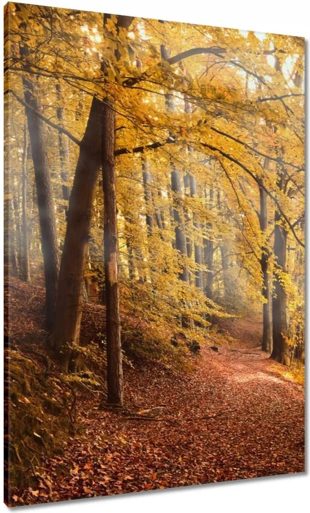 Vászonkép 70x100 Tájkép Látvány