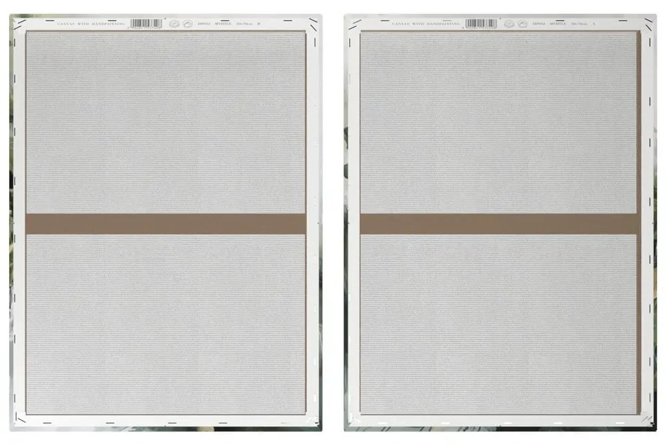 Kép szett kézzel festett részletekkel 2 db-os 50x70 cm Myrtle – Styler