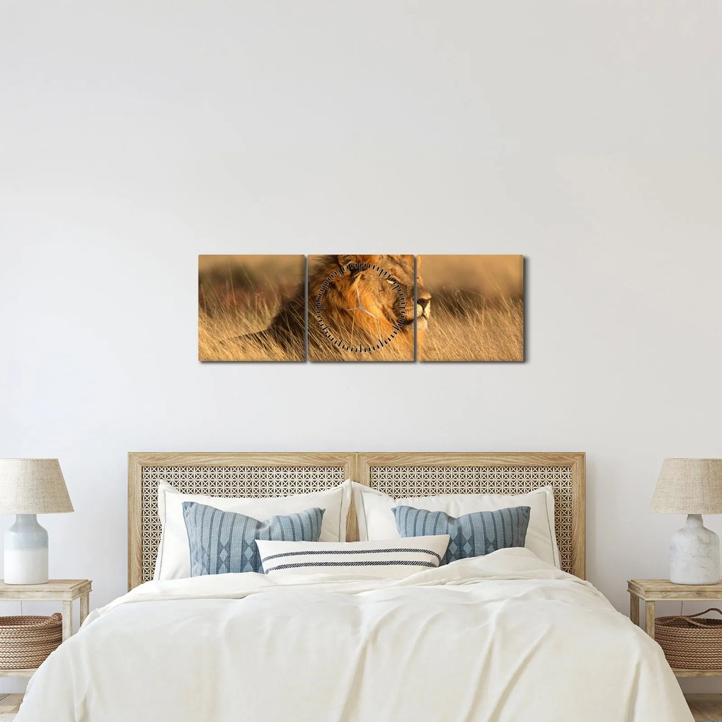 Kép - Etosha Nemzeti Park (órával) (90x30 cm)