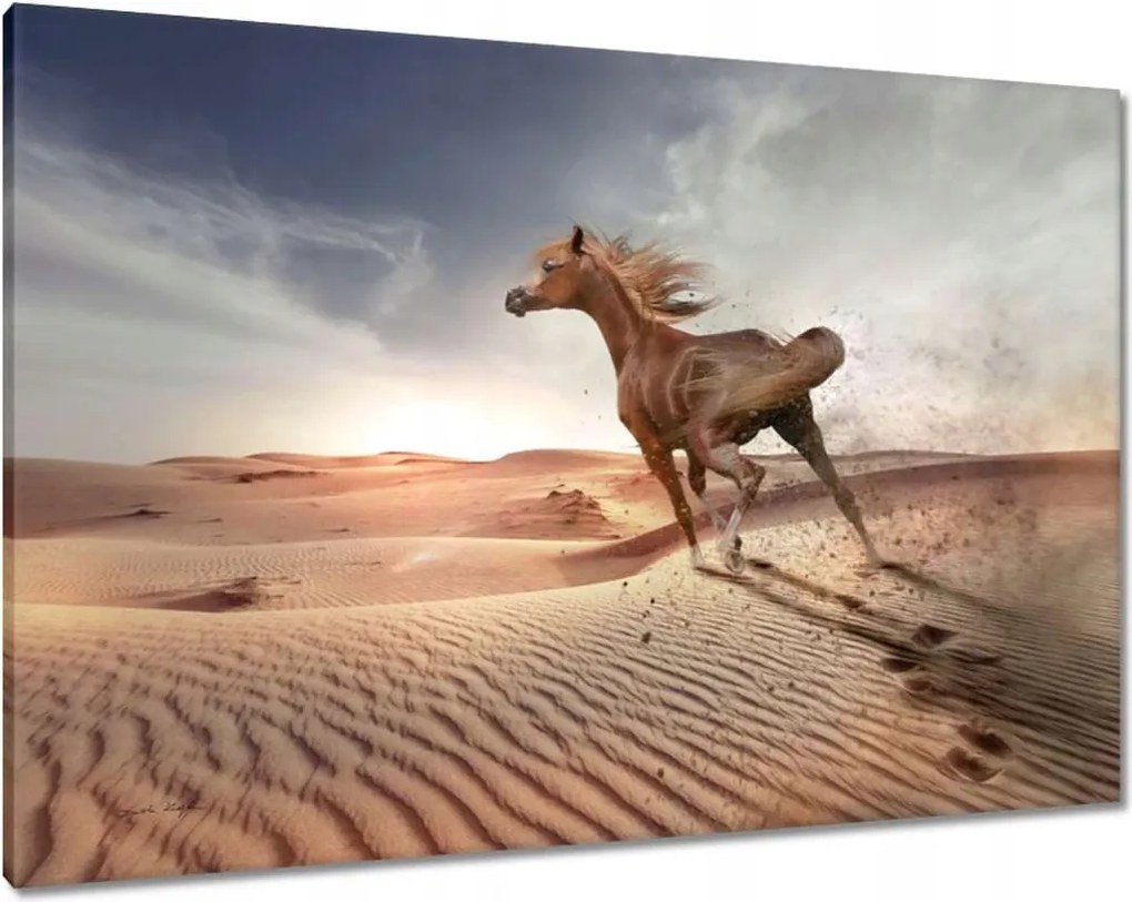 Vászonkép 100x70 Ló Lovak Lovaglás