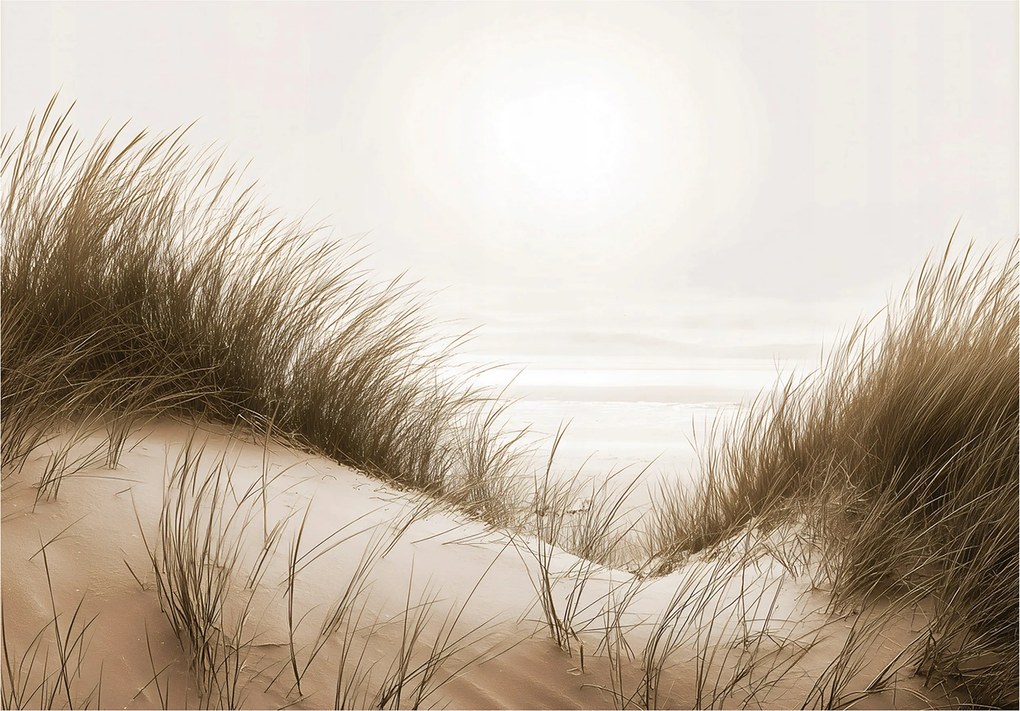 Fotótapéta Tengerpart Sivatag Tájkép Falra Hálószoba Nappali 400x280