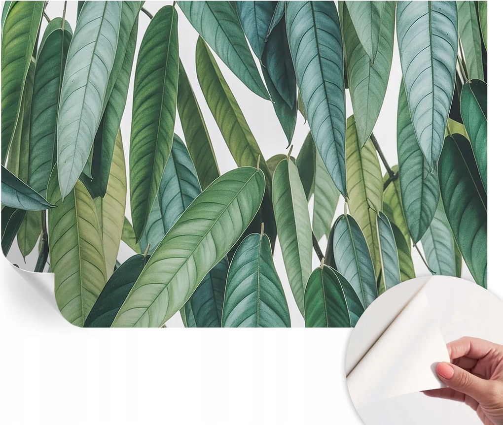 Dekoratív öntapadós fotótapéta irodába Természetes levelek 104x70 cm