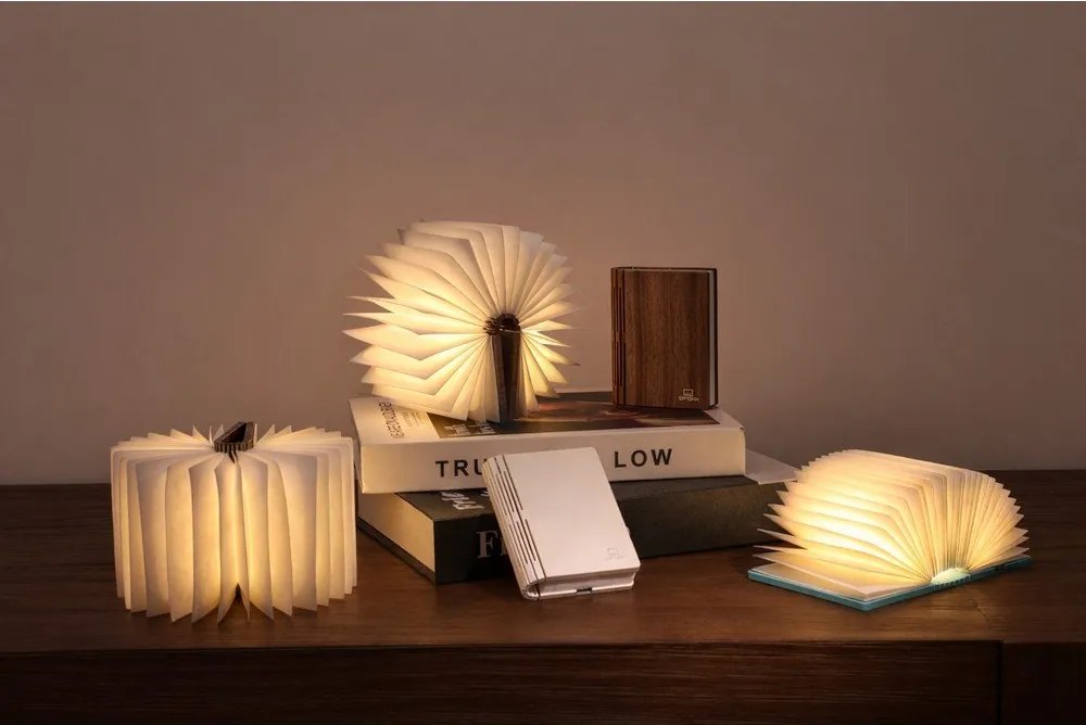 Fehér USB hordozható fénydekoráció BookLight – Gingko