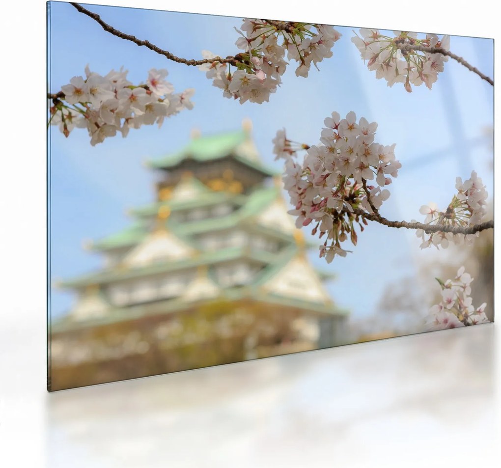 Üveg kép - Sakura (70x50 cm)