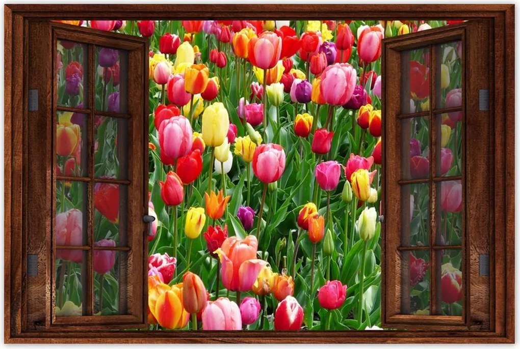 Poszterek 90x60 Színes tulipánok a réten