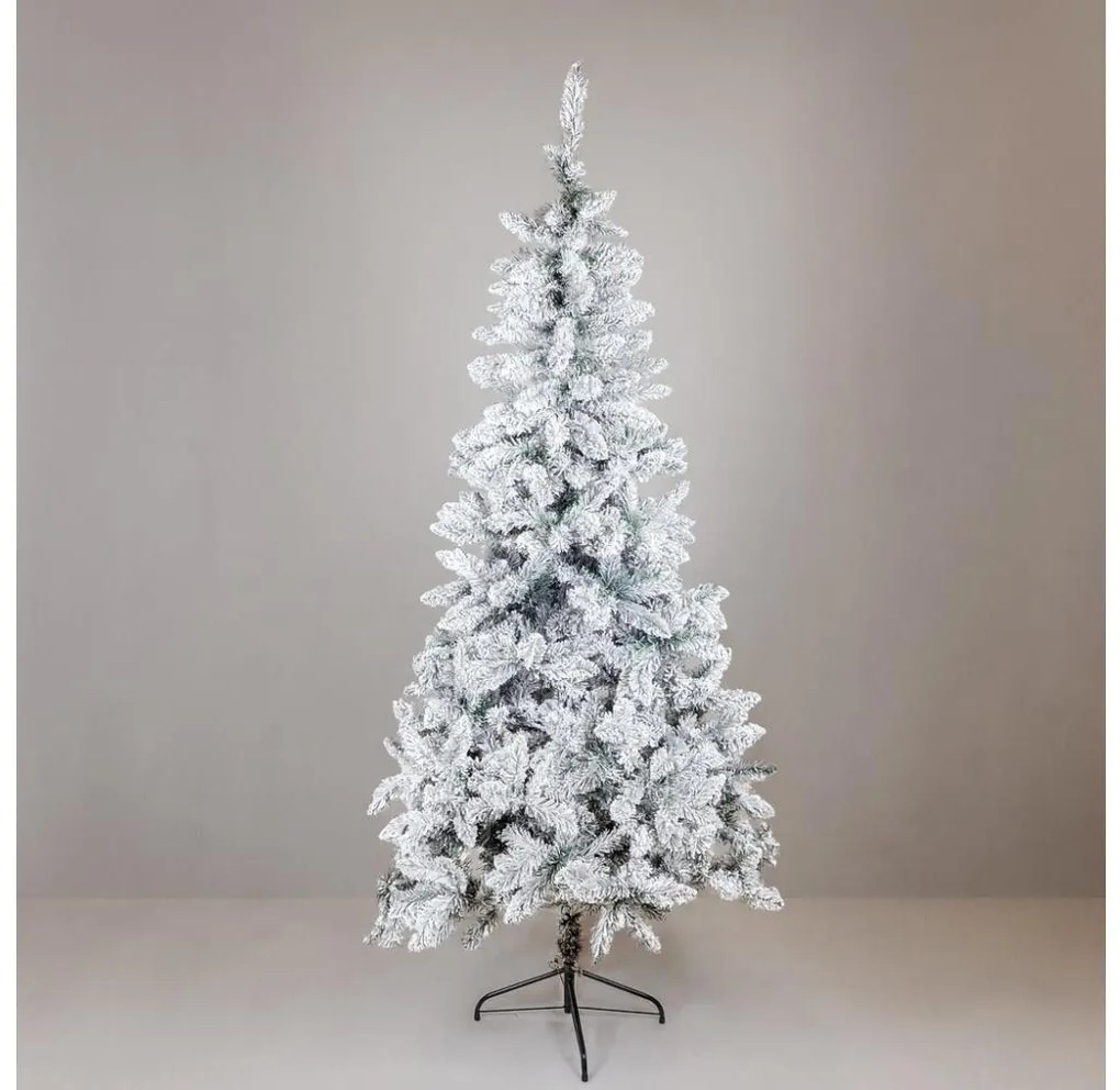 Karácsonyfa SCOTLAND 210 cm fenyő