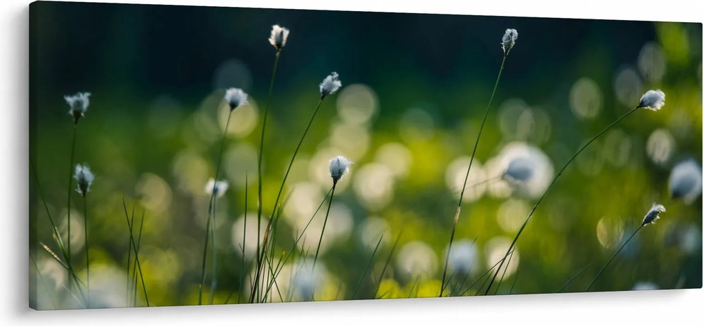 Kép - Fű (120x50 cm)