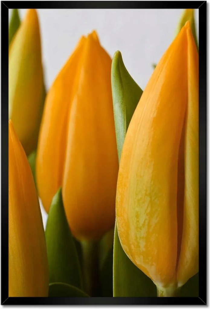 Poszter keretben 40x60 Sárga tulipánok