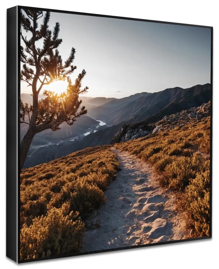 Kép 50x50 cm Mountain Path