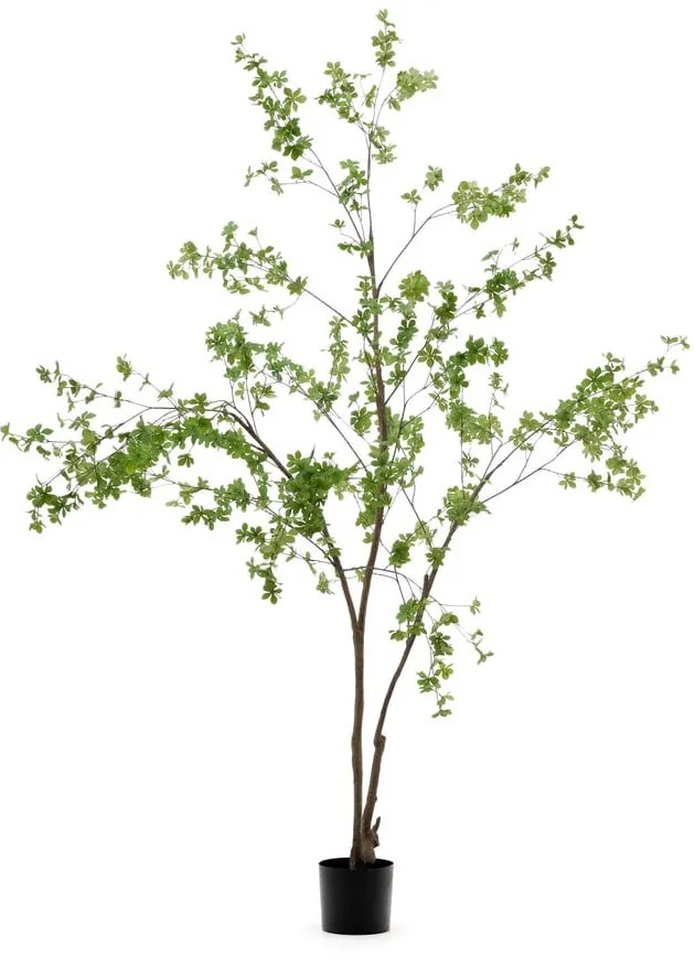 Műnövény (magasság 214 cm) Enkianthus – Kave Home
